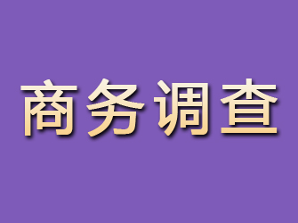 淇县商务调查